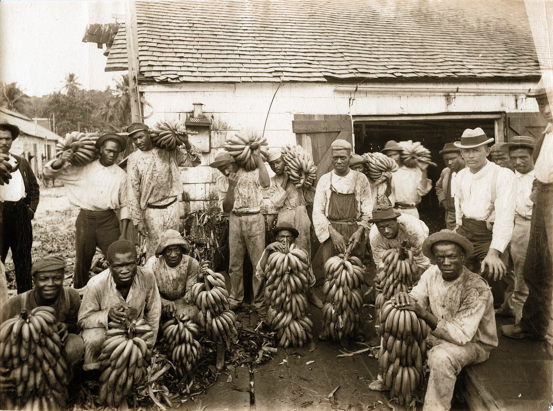 Banana carriers posing with their bunches outside a packing house, Jamaica, around 1890