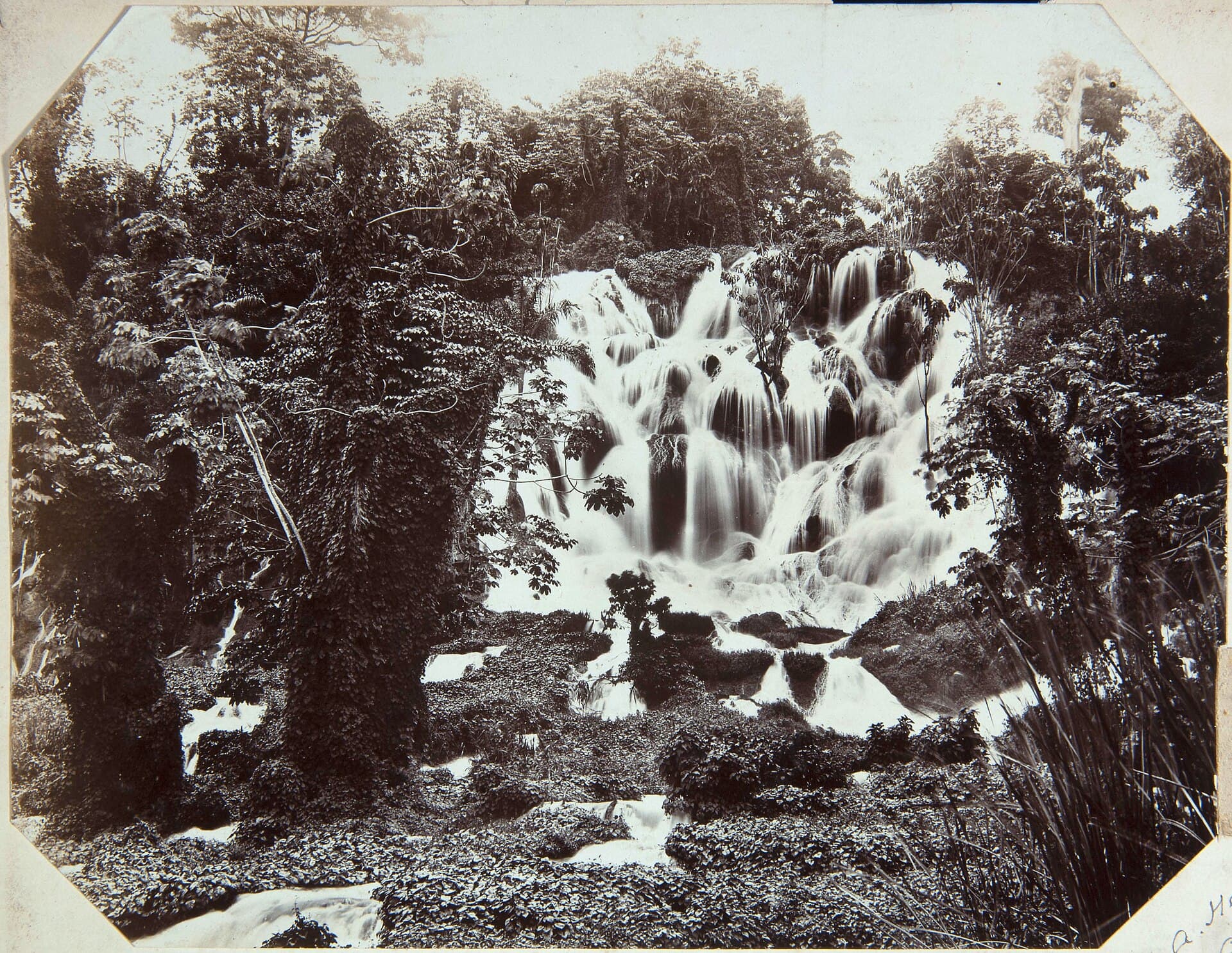 A waterfall near Ocho Rios, St Ann, photographed by A. Duperly & Sons